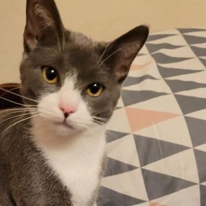 Meet your Posher, Mora